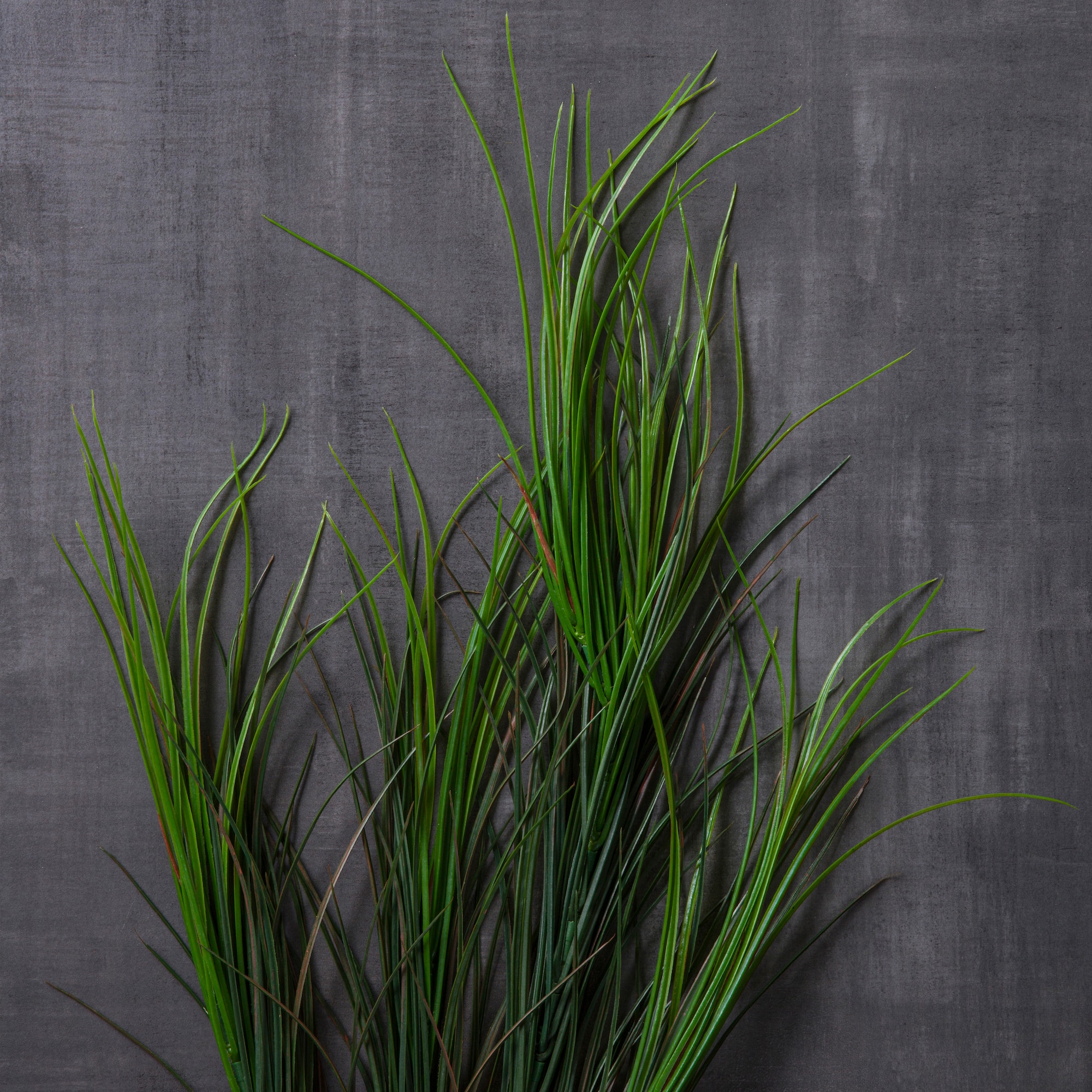 Assorted Green Grass Bush by Ashland®